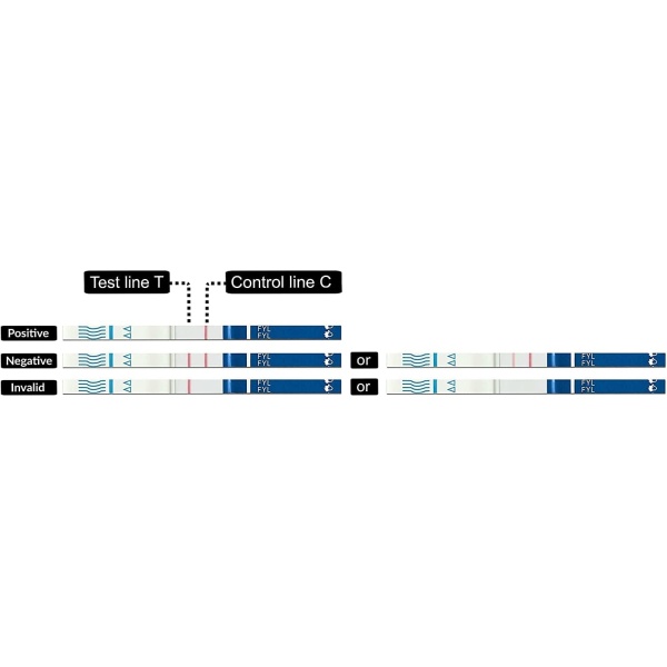 BTNX Fentanyl Test Strip Kit for Liquids, Powders, Pills & Urine - Includes: 8 BTNX Rapid Response Fentanyl Test Strips + 10 mg - Image 4